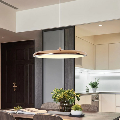 Scandinavian LED Pendant Light Modern Indoor Ceiling Hanging Fixture