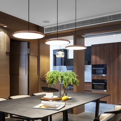 Scandinavian LED Pendant Light Modern Indoor Ceiling Hanging Fixture