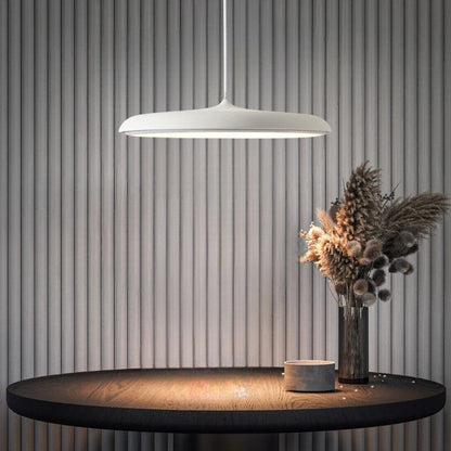 Scandinavian LED Pendant Light Modern Indoor Ceiling Hanging Fixture