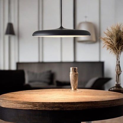 Scandinavian LED Pendant Light Modern Indoor Ceiling Hanging Fixture