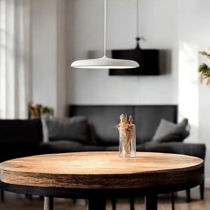 Scandinavian LED Pendant Light Modern Indoor Ceiling Hanging Fixture