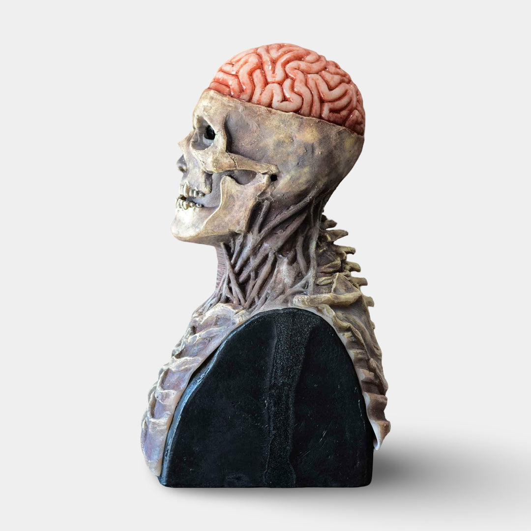 Skeleton Halloween Mask Movable Jaw Full Head Cosplay Costume Accessory
