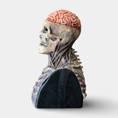 Skeleton Halloween Mask Movable Jaw Full Head Cosplay Costume Accessory