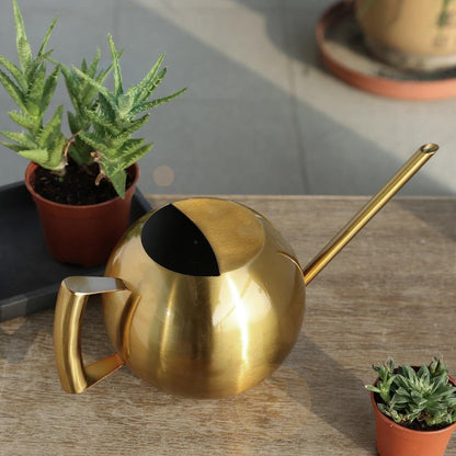 Slim Metal Watering Can with Precision Spout for Indoor Plants