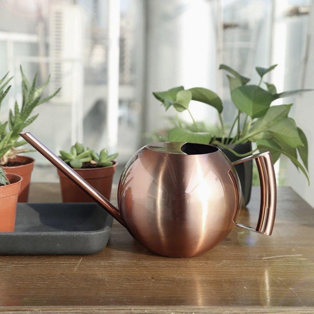Slim Metal Watering Can with Precision Spout for Indoor Plants