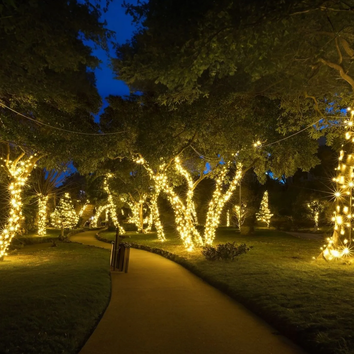 Solar Fairy String Lights Weather Resistant LED Garden Party Decoration