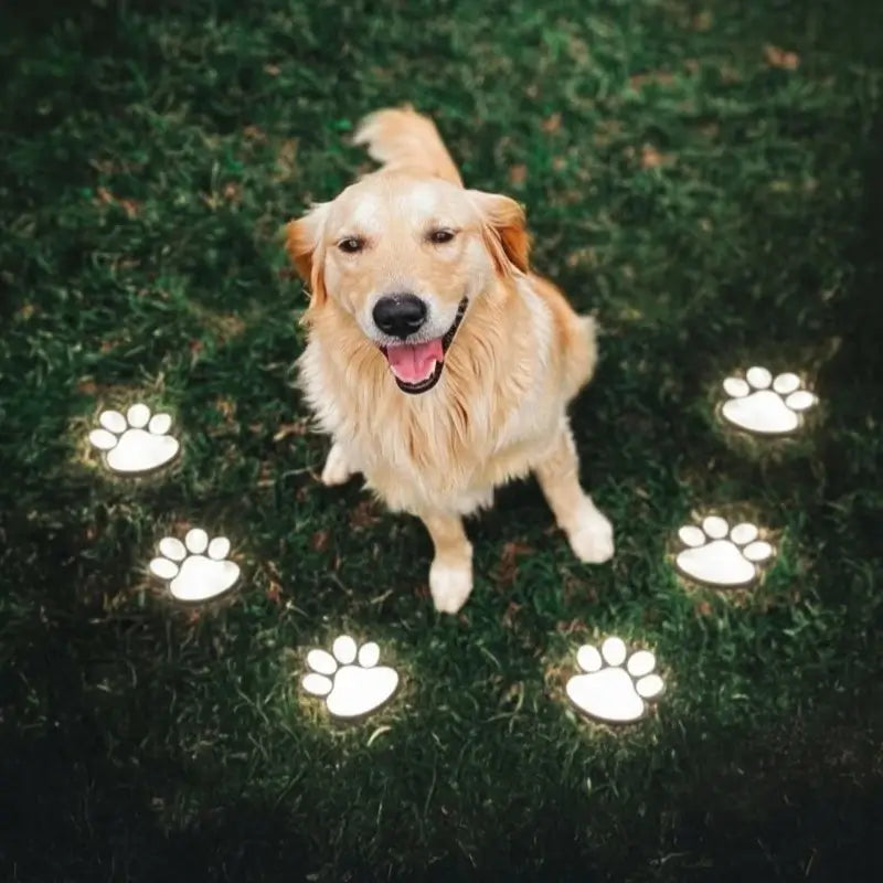 Solar Paw Print Garden Light Warm LED Pathway Outdoor Decoration