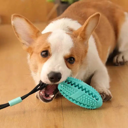 Suction Cup Dog Chew Toy Dental Cleaning Tug Toy Interactive Teeth Cleaning Toy