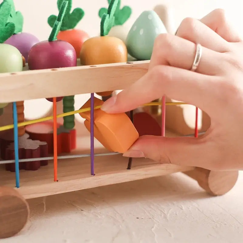Wooden Vegetable Sorting Cart Toy for Toddlers Montessori Learning Pull Toy